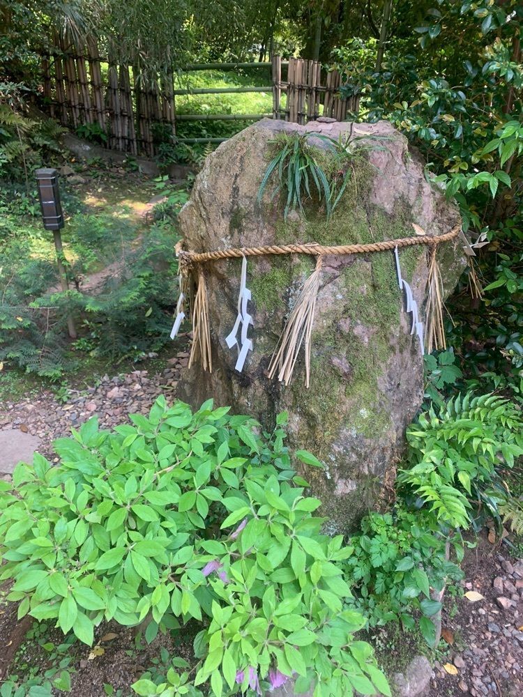 blossom&C7さんが投稿した宇治上神社本殿・拝殿に関する口コミの画像