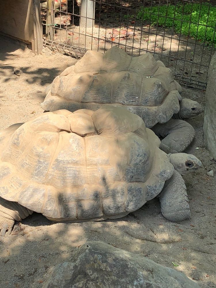Nさんが投稿した甲府市遊亀公園附属動物園に関する口コミの画像