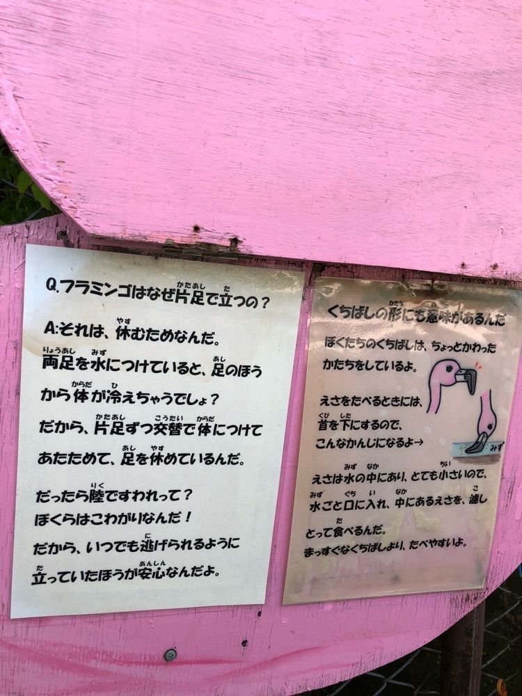 Nさんが投稿した甲府市遊亀公園附属動物園に関する口コミの画像