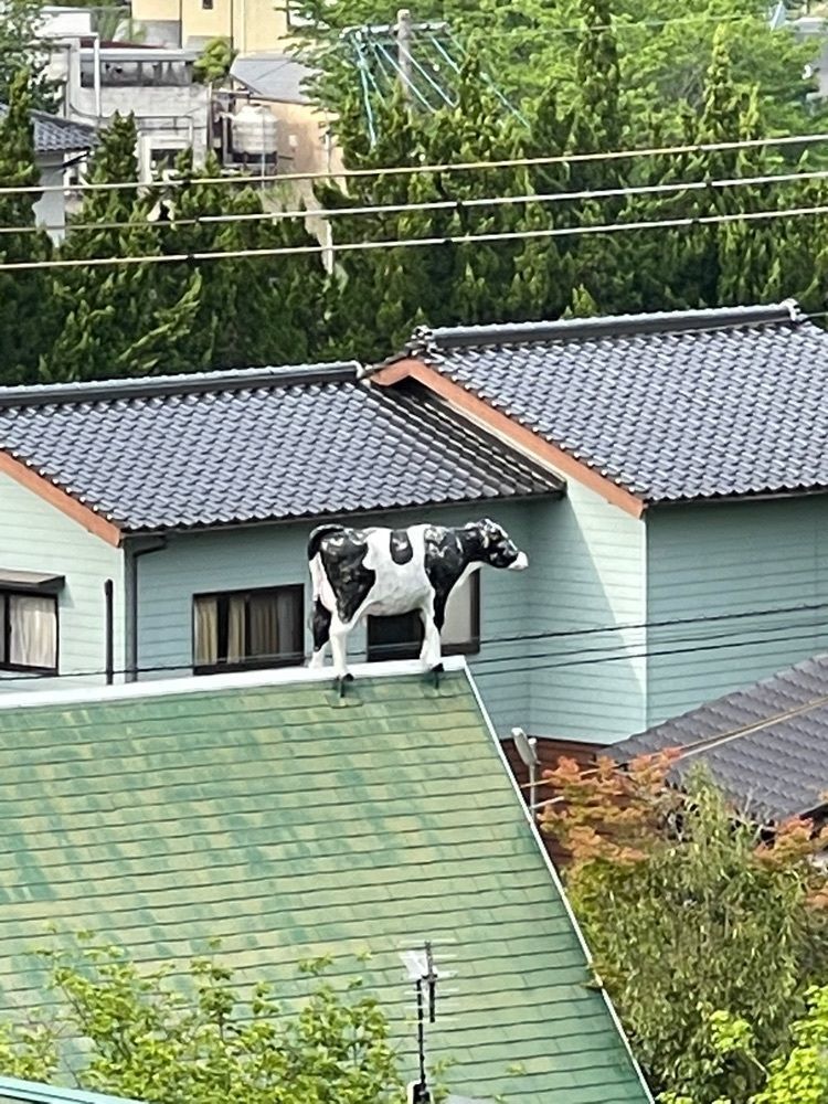 wakuwaku_rokomokoさんが投稿した由布院温泉　ゆふいん山水館に関する口コミの画像