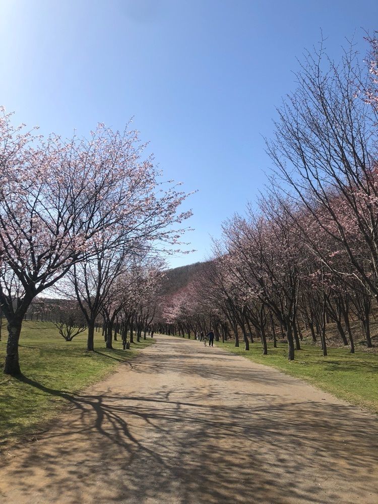 happy_walkingさんが投稿した緑ヶ丘公園に関する口コミの画像