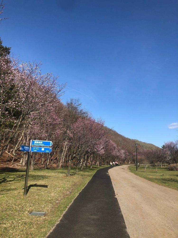 happy_walkingさんが投稿した緑ヶ丘公園に関する口コミの画像