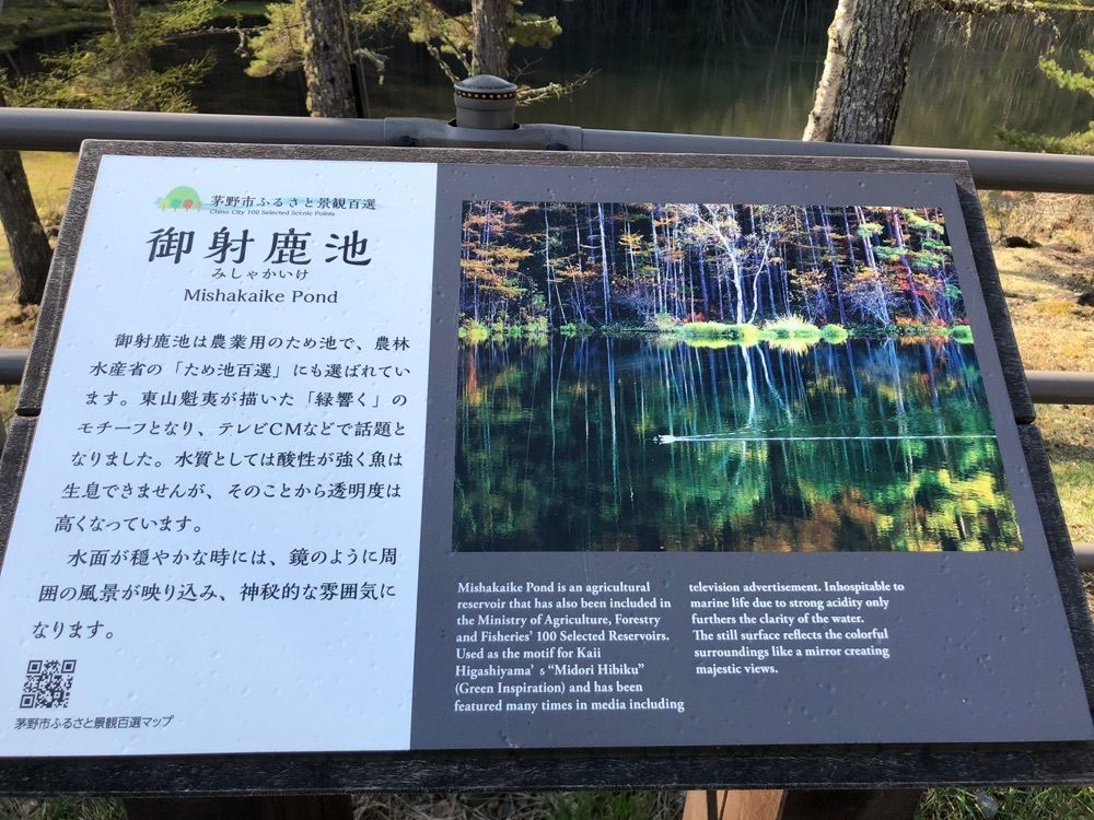 nostalgic_hiking_46c2さんが投稿した長野県信濃美術館 東山魁夷館に関する口コミの画像