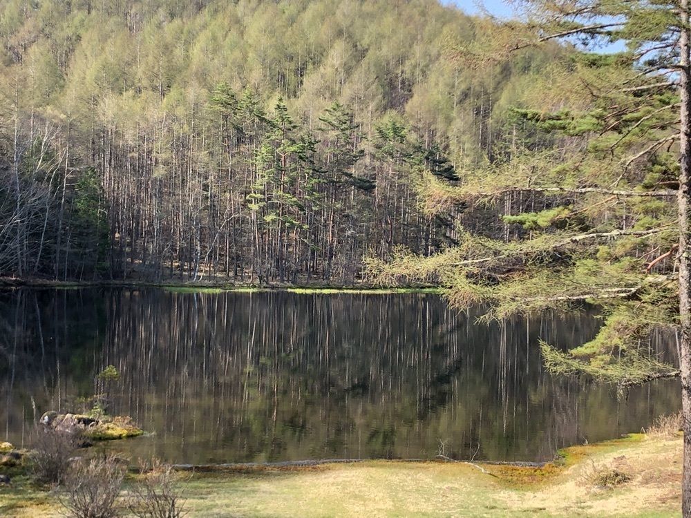 nostalgic_hiking_46c2さんが投稿した長野県信濃美術館 東山魁夷館に関する口コミの画像