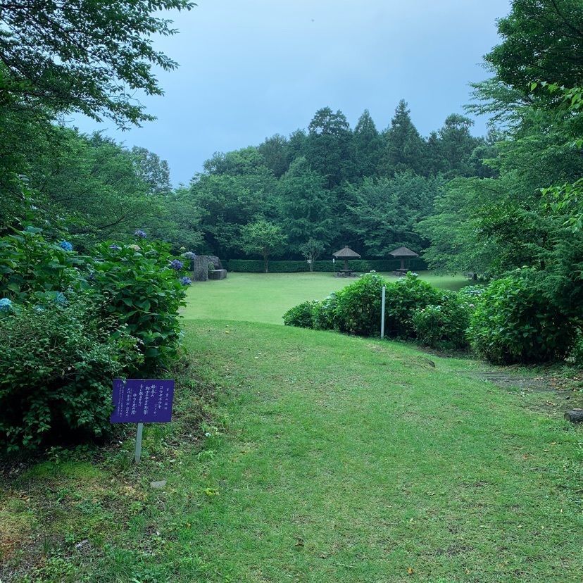 だるま大使さんが投稿した万葉の里公園に関する口コミの画像