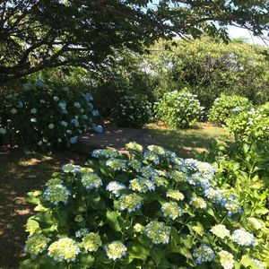 三ケ根観音 3枚目