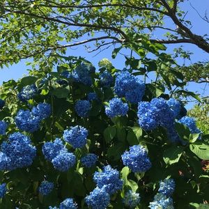 三ケ根観音 4枚目