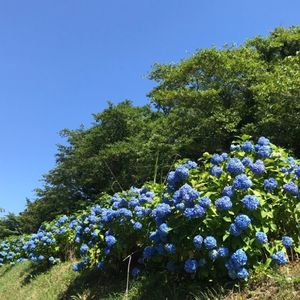 三ケ根観音 5枚目