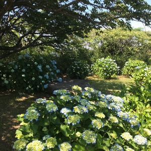 三ケ根観音 7枚目