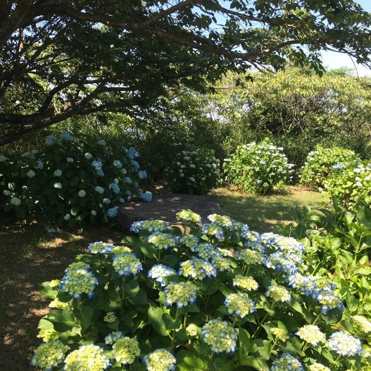 なおなおさんが投稿した三ケ根観音に関する口コミの画像