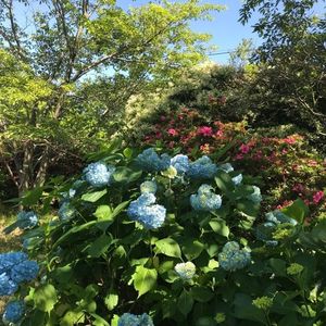 三ケ根観音 8枚目