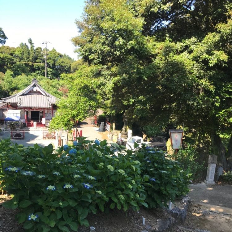 なおなおさんが投稿した三ケ根観音に関する口コミの画像