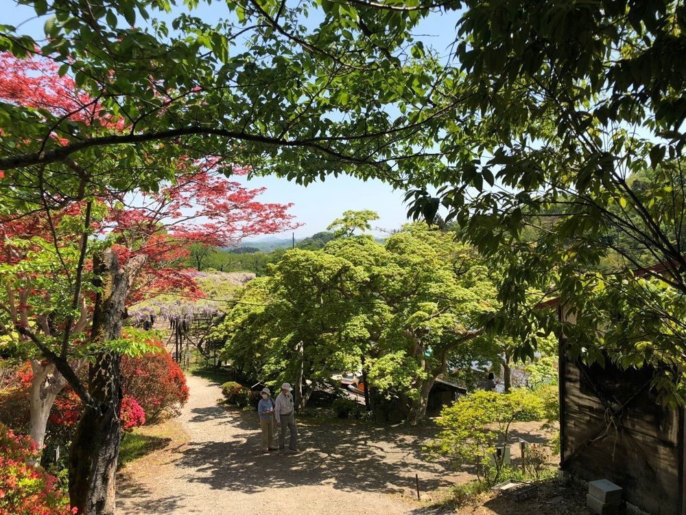 choco mintさんが投稿した蛇の鼻茶屋に関する口コミの画像
