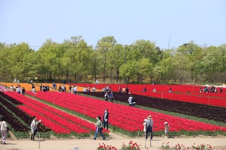 施設画像