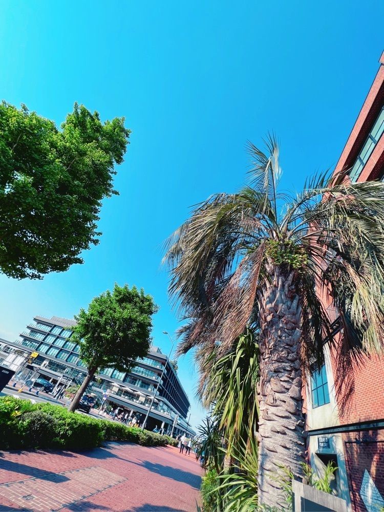 りよさんが投稿したセブンイレブン 横浜ハンマーヘッドに関する口コミの画像