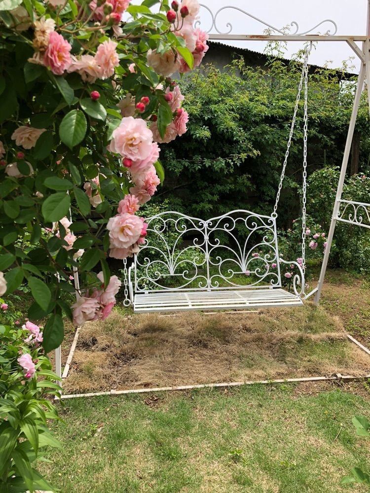Nさんが投稿したロココ（Rococo）に関する口コミの画像