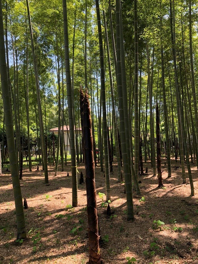 からっ風②さんが投稿した若山農場に関する口コミの画像