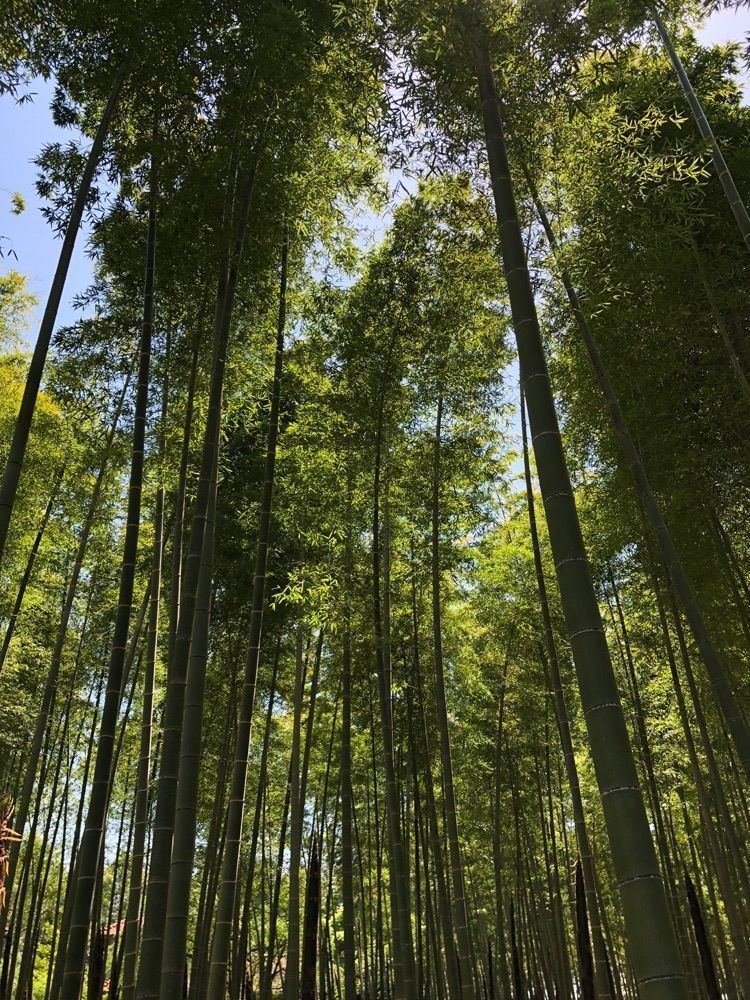 からっ風②さんが投稿した若山農場に関する口コミの画像