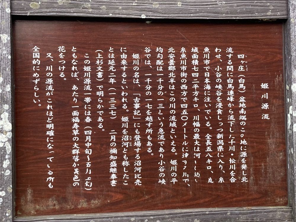 Howl Monさんが投稿した姫川源流自然探勝園（姫川源流・親海湿原）に関する口コミの画像