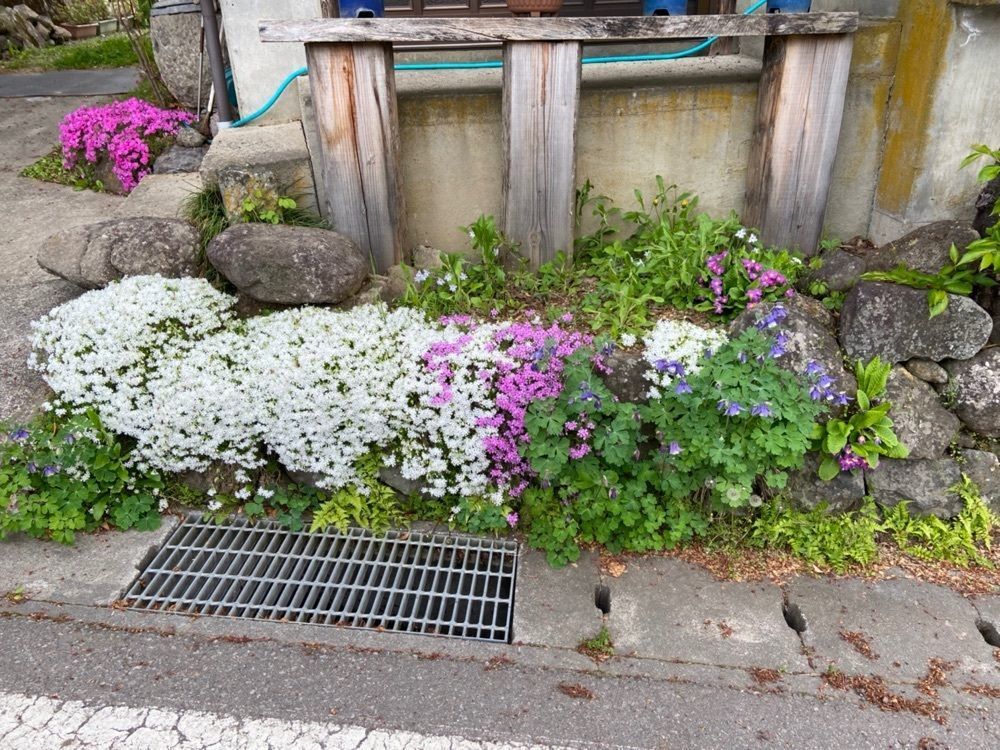 ポッキン　アンブレラさんが投稿した越後屋旅館に関する口コミの画像