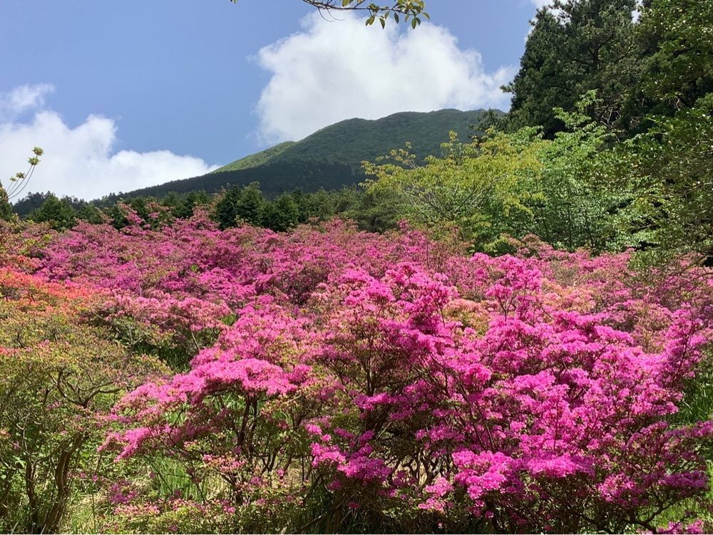festive_garden_7486さんが投稿した雲仙ロープウェイに関する口コミの画像