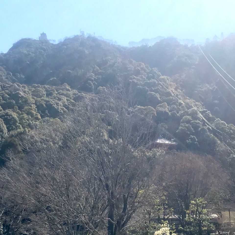 bright_weekend_609eさんが投稿した金華山に関する口コミの画像