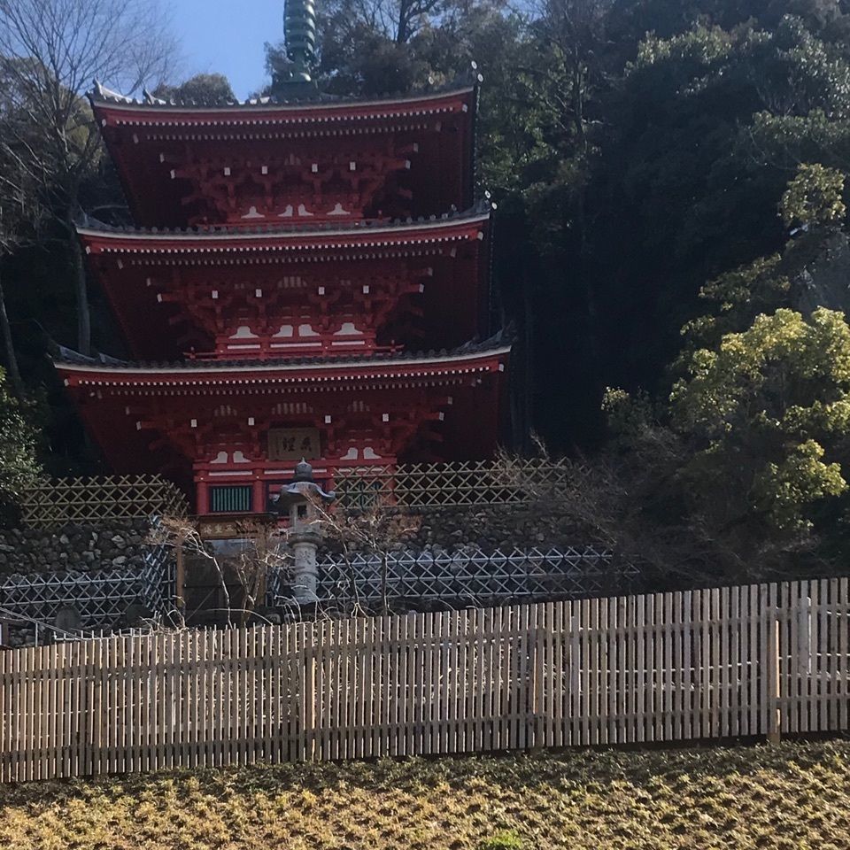 bright_weekend_609eさんが投稿した金華山に関する口コミの画像