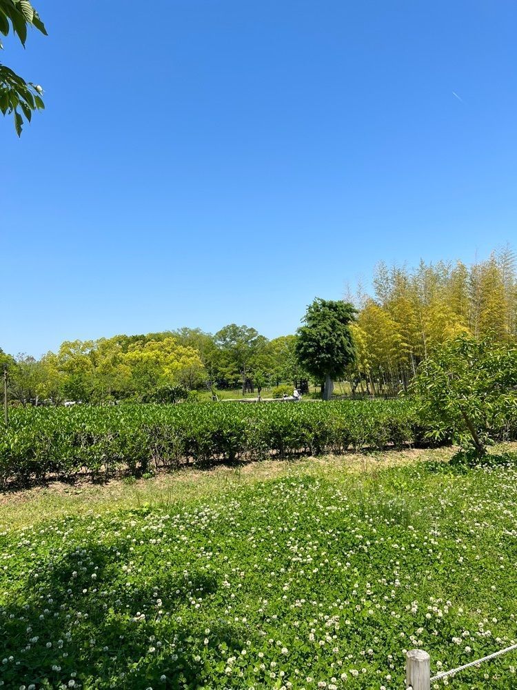 miwaさんが投稿した自然観察学習館に関する口コミの画像