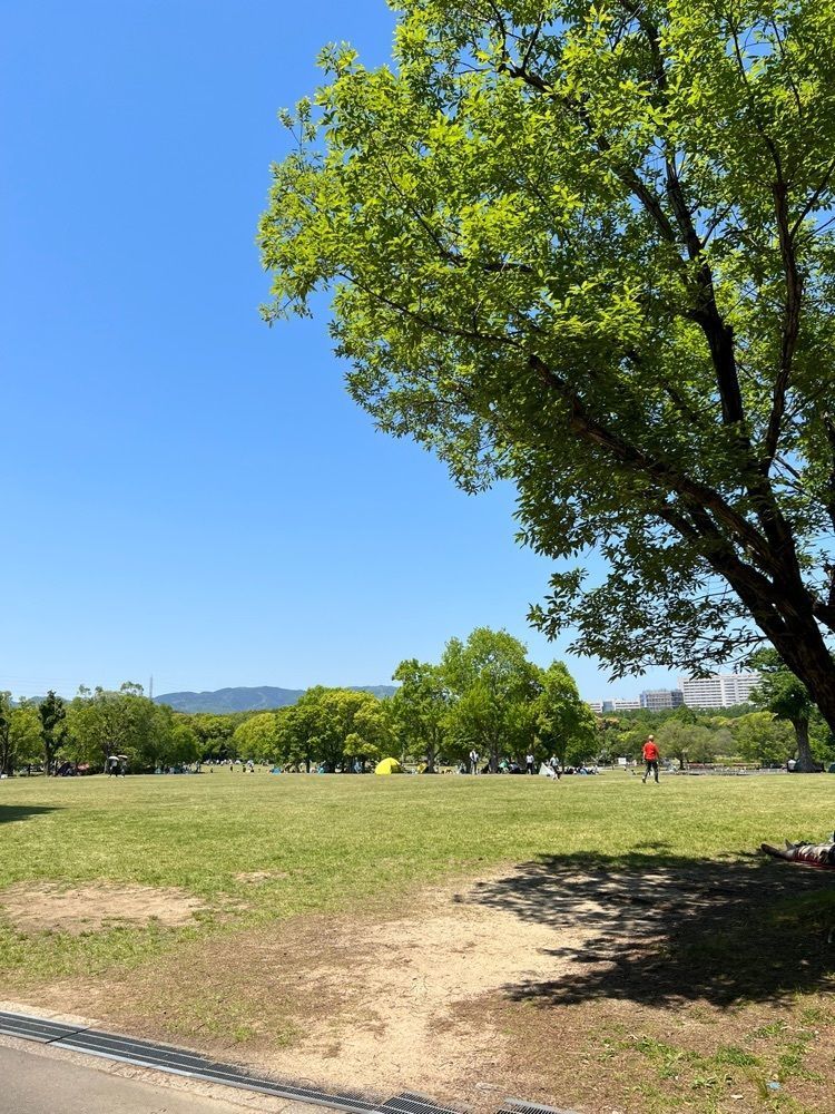miwaさんが投稿した自然観察学習館に関する口コミの画像