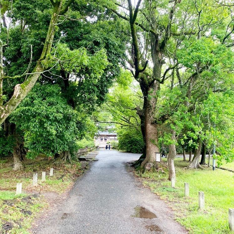 Rhapsodyさんが投稿した観世音寺に関する口コミの画像