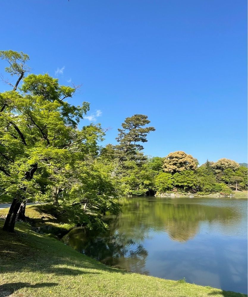 active34さんが投稿した仙洞御所に関する口コミの画像