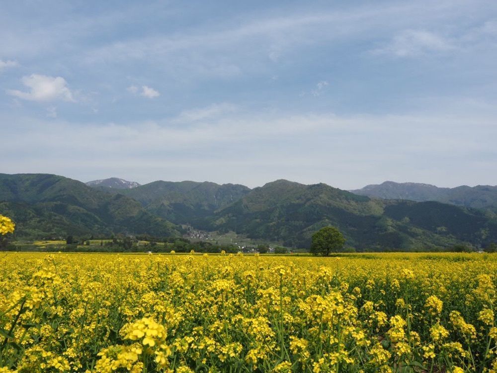 Howl Monさんが投稿した道の駅 花の駅千曲川に関する口コミの画像