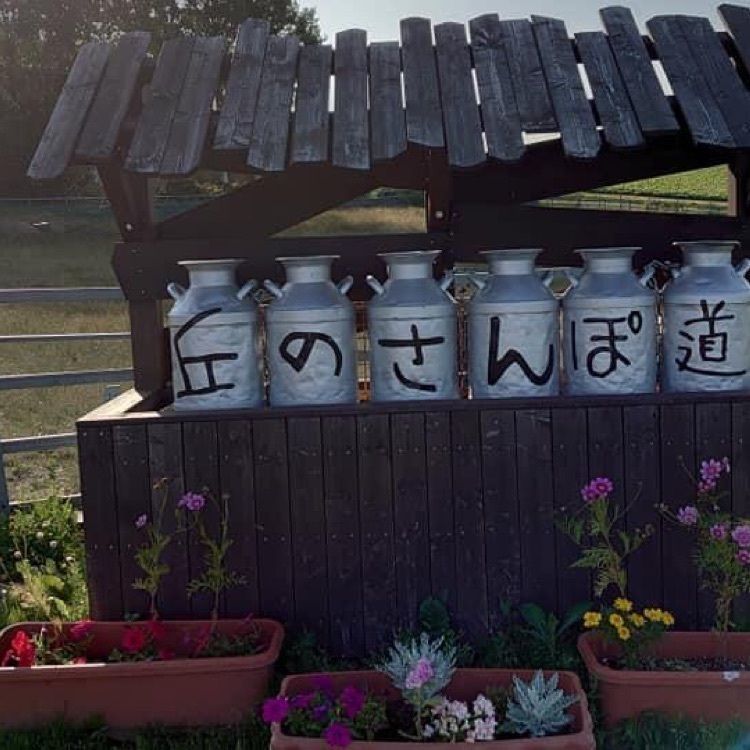 ＤＪゴン太さんが投稿した丘のさんぽ道（オカノサンポミチ）に関する口コミの画像