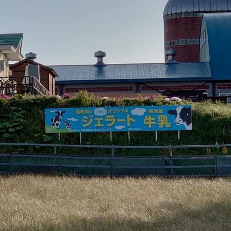 ＤＪゴン太さんが投稿した丘のさんぽ道（オカノサンポミチ）に関する口コミの画像