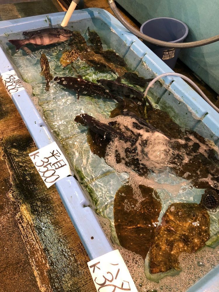 Nさんが投稿した千里水産に関する口コミの画像