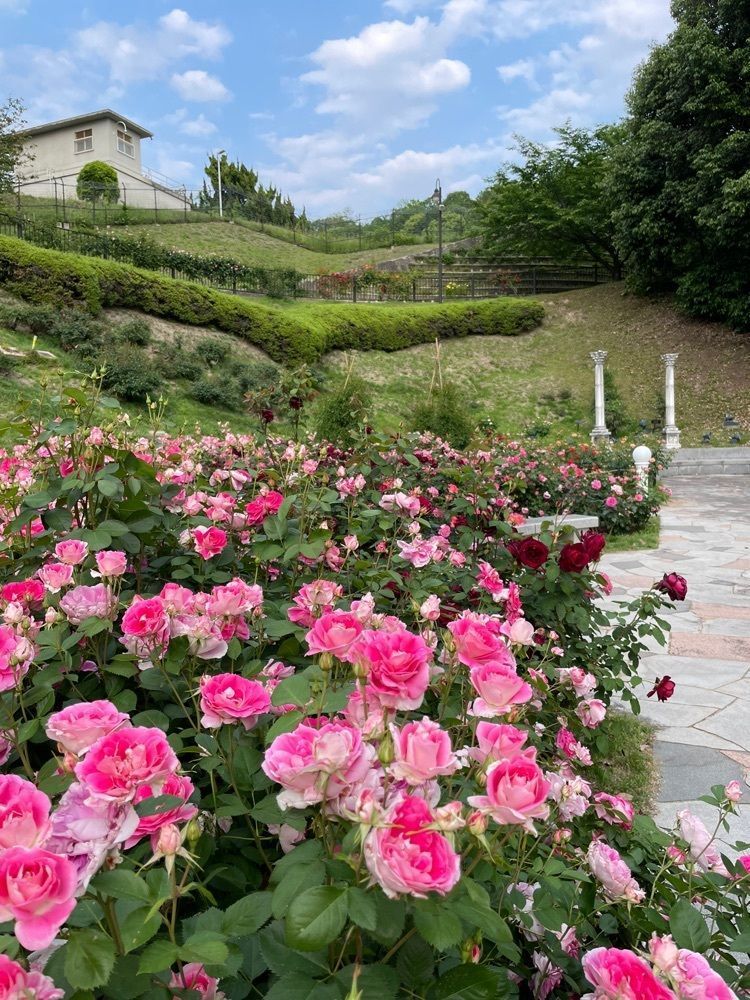みーなさんが投稿した広島市総合屋内プール（広島ビッグウェーブ）に関する口コミの画像