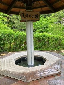 かわじいふるさとの駅 4枚目