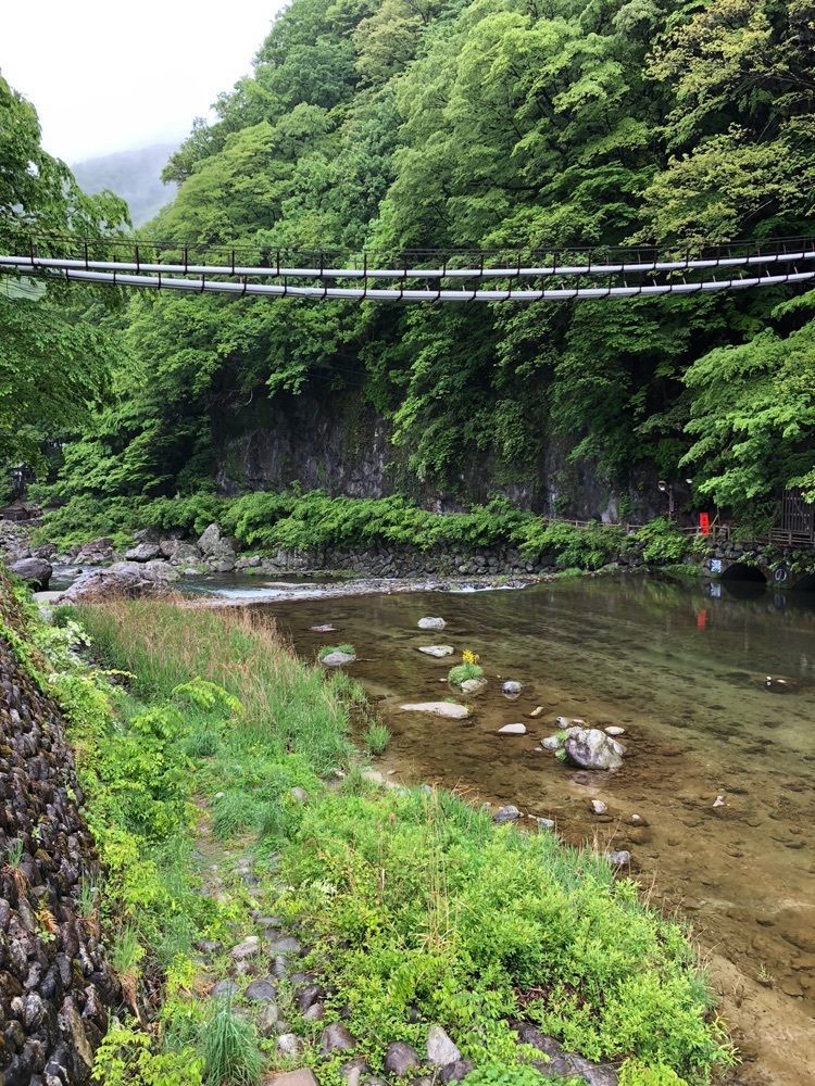 からっ風②さんが投稿したかわじいふるさとの駅に関する口コミの画像
