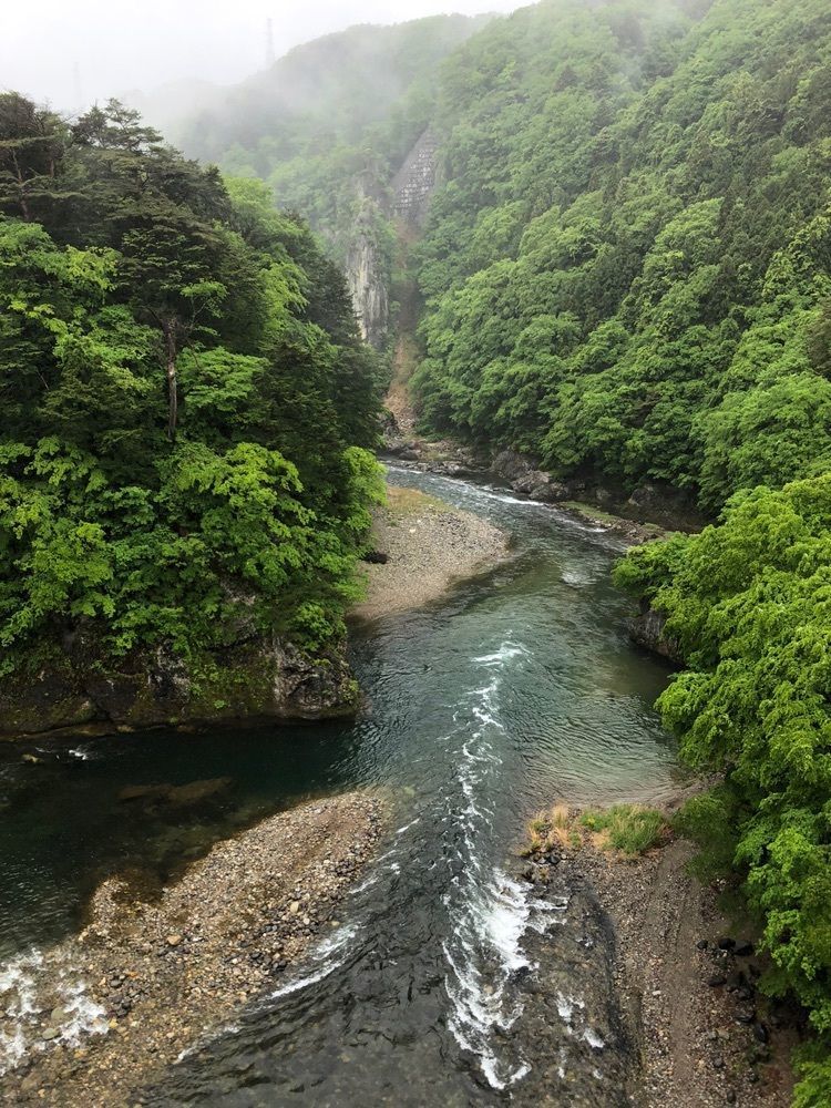 からっ風②さんが投稿したかわじいふるさとの駅に関する口コミの画像