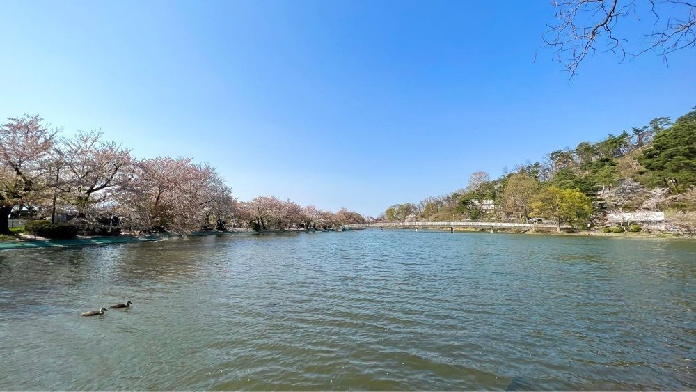 おこめモーニングさんが投稿した臥竜公園に関する口コミの画像