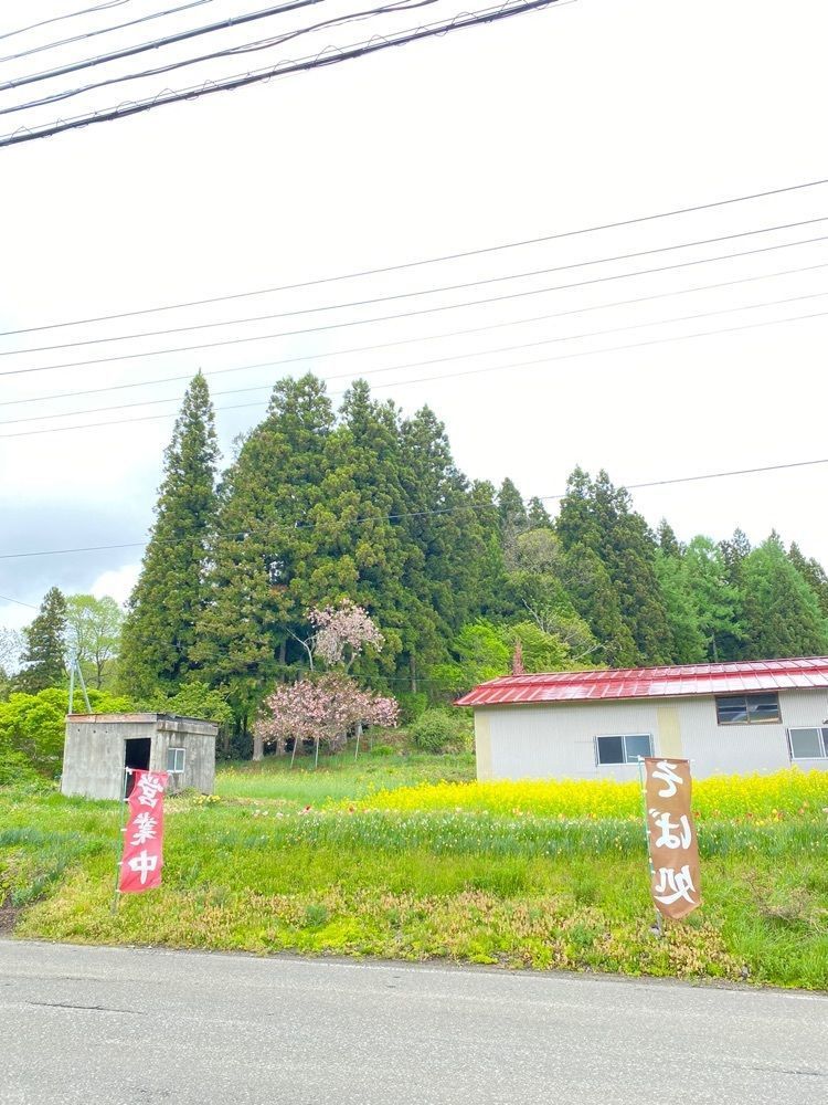 かめ_メグミさんが投稿したまるいちに関する口コミの画像