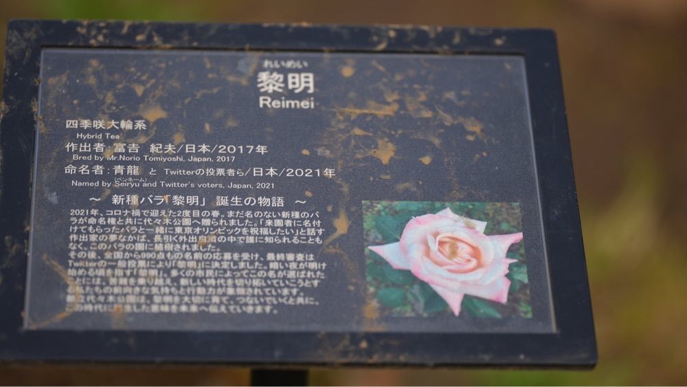 jamesさんが投稿したディッピンドッツ 代々木公園1号売店に関する口コミの画像
