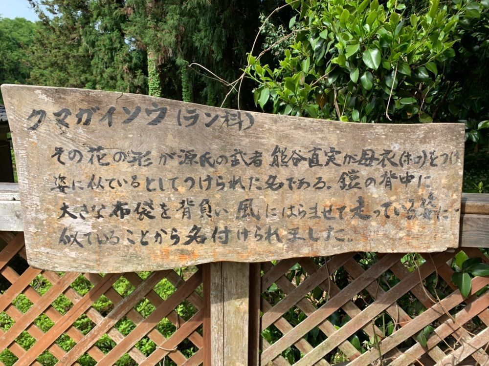 九尾の狐さんが投稿した羽山（麓山）に関する口コミの画像