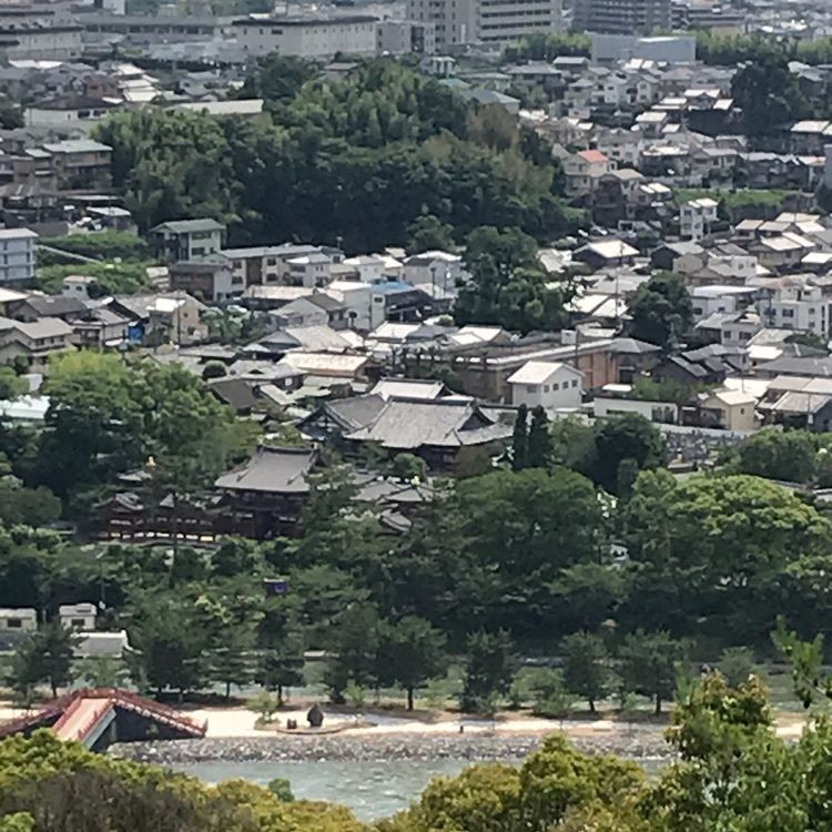 NBR OTさんが投稿した源氏物語宇治十帖「総角」に関する口コミの画像