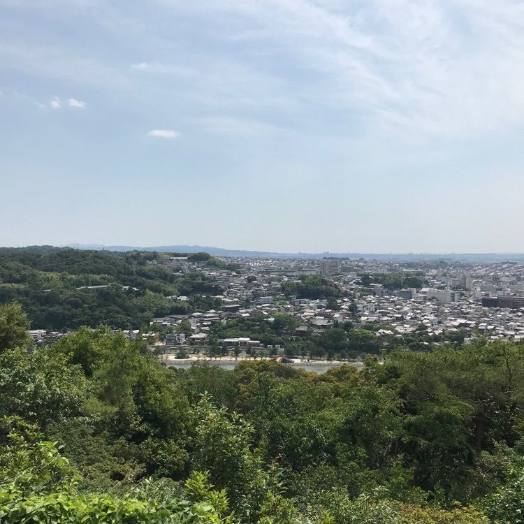 NBR OTさんが投稿した源氏物語宇治十帖「総角」に関する口コミの画像