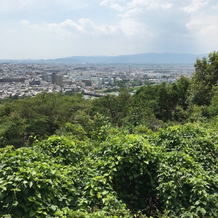 NBR OTさんが投稿した源氏物語宇治十帖「総角」に関する口コミの画像