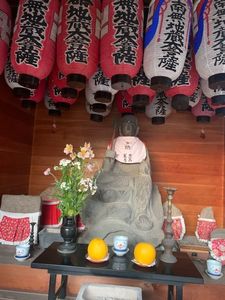 阿弥陀寺木造薬師如来立像 8枚目