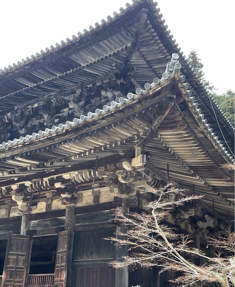Qsaさんが投稿した圓教寺会館（エンギョウジカイカン）に関する口コミの画像
