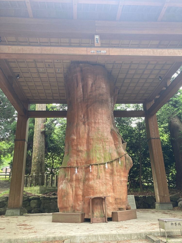 のらくろさんが投稿した国造神社に関する口コミの画像