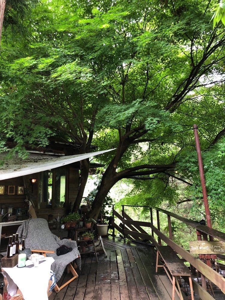 Nさんが投稿したカフェ ナチュラ リズム（Cafe Natural Rhythm）に関する口コミの画像
